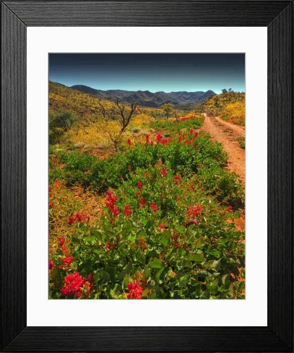 Framed Print : Arkaroola, an area of incredible semi arid wilderness in the northern Flinders Ranges of South Australia