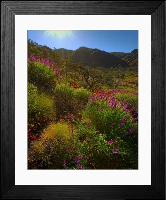 Framed Print : Arkaroola, an area of incredible semi arid wilderness in the northern Flinders Ranges of South Australia