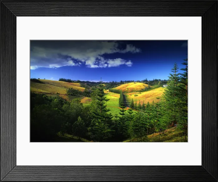 Framed Print : A rural scene on the Idyllic south pacific Norfolk Island