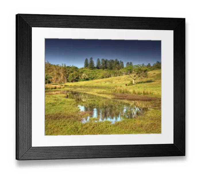 Framed Print : A rural scene on the Idyllic south pacific Norfolk Island