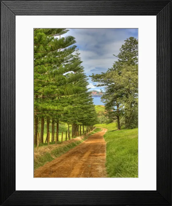 Framed Print : A view of the fine weather track that leads down to Point Ross and the Shearwater colony on Norfolk Islands coastline