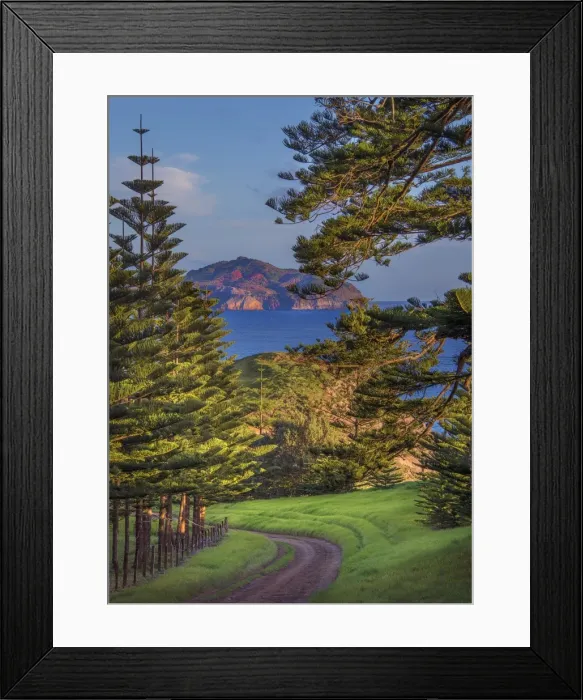 Framed Print : A view of the fine weather track that leads down to Point Ross and the Shearwater colony on Norfolk Islands coastline Framed Print : A view of the fine weather track that leads down to Point Ross and the Shearwater colony on Norfolk Islands coastline