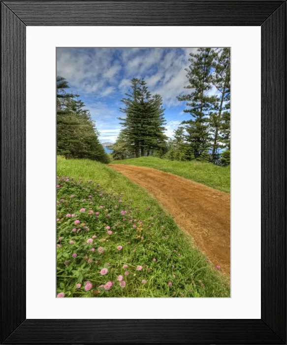Framed Print : A view of the fine weather track that leads down to Point Ross and the Shearwater colony on Norfolk Islands coastline Framed Print : A view of the fine weather track that leads down to Point Ross and the Shearwater colony on Norfolk Islands coastline