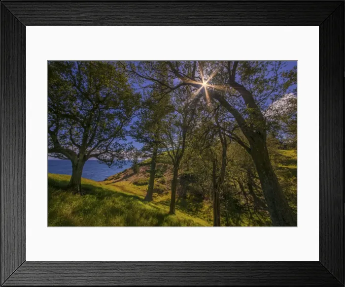 Framed Print : Quiet Valley in the northern end of Norfolk Island, South Pacific
