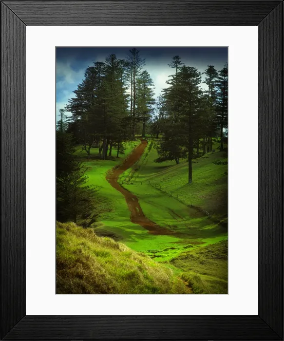 Framed Print : A rural scene on the Idyllic south pacific Norfolk Island Framed Print : A rural scene on the Idyllic south pacific Norfolk Island