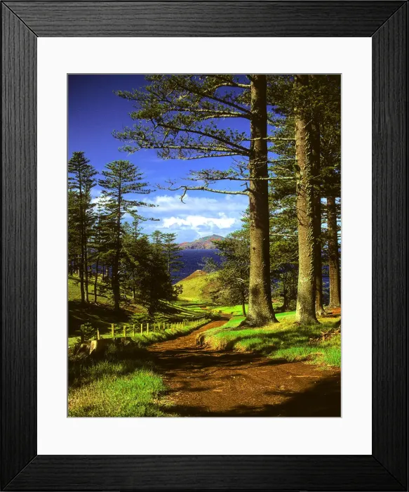 Framed Print : A rural scene on the Idyllic south pacific Norfolk Island