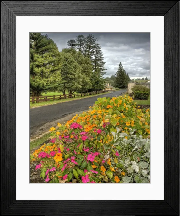 Framed Print : A view of colonial buildings in Quality row, Norfolk Island Framed Print : A view of colonial buildings in Quality row, Norfolk Island