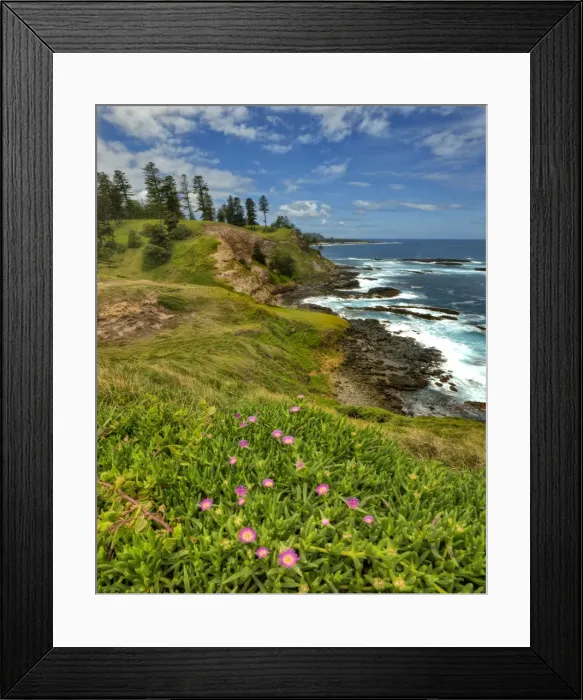 Framed Print : Point Ross, A scenic coastal reserve on the Idyllic south pacific Norfolk Island Framed Print : Point Ross, A scenic coastal reserve on the Idyllic south pacific Norfolk Island