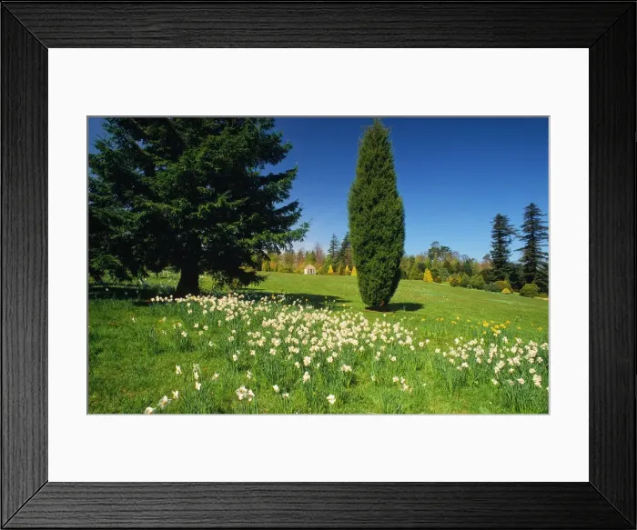 Framed Print : English Garden, East Sussex, England Framed Print : English Garden, East Sussex, England