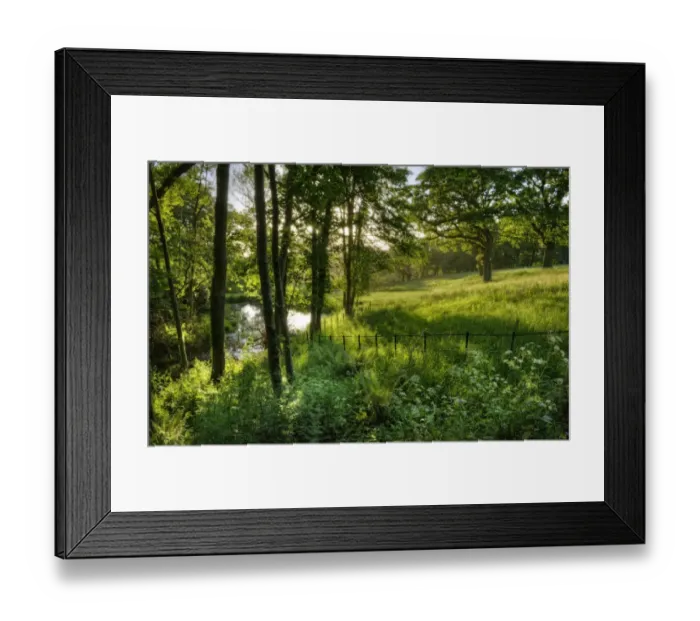 Framed Print : Grange Heath, near Wareham, Dorset, England Framed Print : Grange Heath, near Wareham, Dorset, England