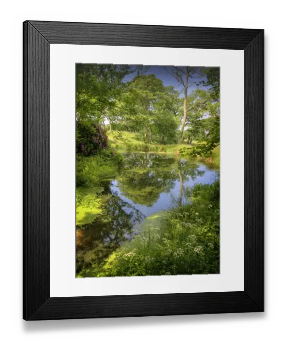 Framed Print : Grange Heath, near Wareham, Dorset, England Framed Print : Grange Heath, near Wareham, Dorset, England