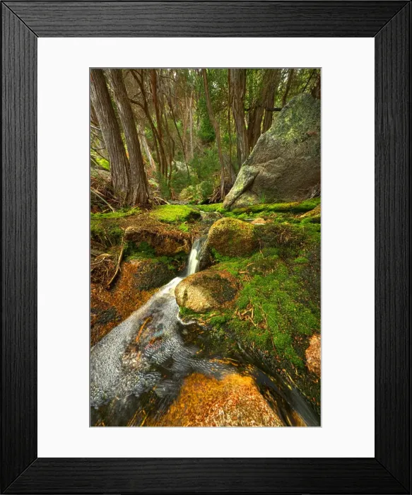 Framed Print : Fotheringate creek and rainforest, Lacota, Strzelecki range, Flinders Island Tasmania