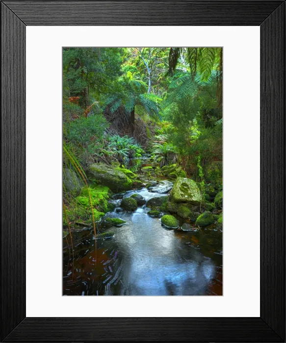 Framed Print : Fotheringate creek and rainforest, Lacota, Strzelecki range, Flinders Island Tasmania Framed Print : Fotheringate creek and rainforest, Lacota, Strzelecki range, Flinders Island Tasmania