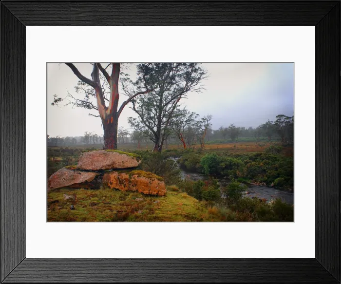 Framed Print : The Iris river alpine area in the Cradle mountain national park in Central Tasmania Framed Print : The Iris river alpine area in the Cradle mountain national park in Central Tasmania