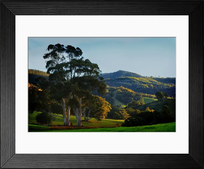 Framed Print : A rural scene of rolling countryside in Goulds country, north east Tasmania Framed Print : A rural scene of rolling countryside in Goulds country, north east Tasmania