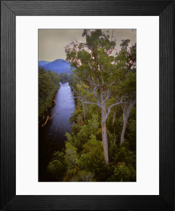 Framed Print : A view of the Huon river near the Tahune airwalk in southern Tasmania Framed Print : A view of the Huon river near the Tahune airwalk in southern Tasmania