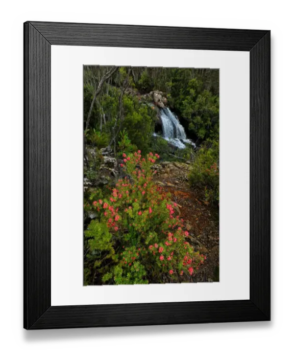 Framed Print : Running stream in the Hartz mountains national park, part of the world heritage wilderness, Tasmania
