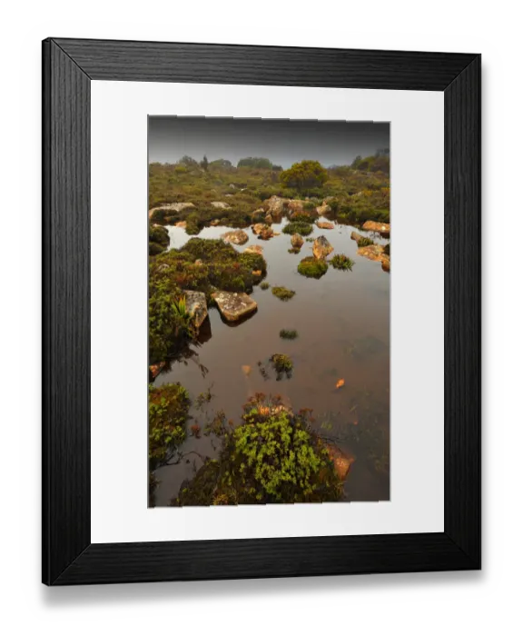 Framed Print : Running stream in the Hartz mountains national park, part of the world heritage wilderness, Tasmania