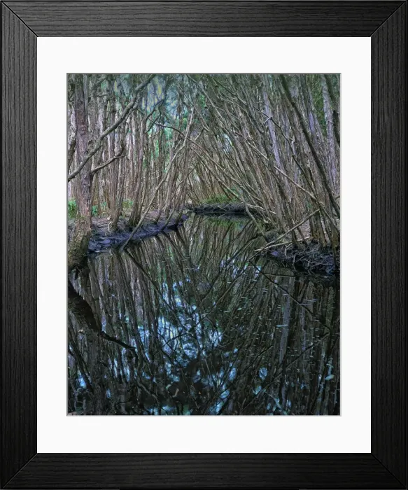 Framed Print : Little Grassy creek reflections, King Island, Bass Strait, Tasmania