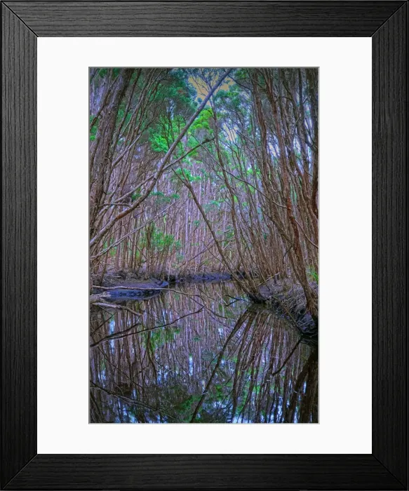 Framed Print : Little Grassy creek reflections, King Island, Bass Strait, Tasmania Framed Print : Little Grassy creek reflections, King Island, Bass Strait, Tasmania