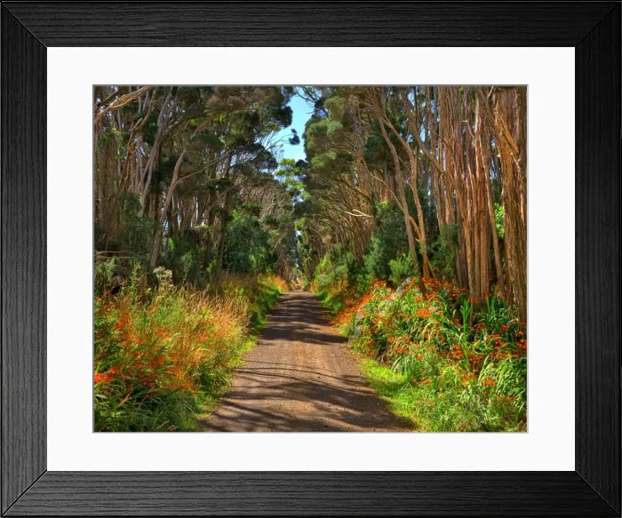 Framed Print : A rural road on King Island, Bass Strait, Tasmania Framed Print : A rural road on King Island, Bass Strait, Tasmania