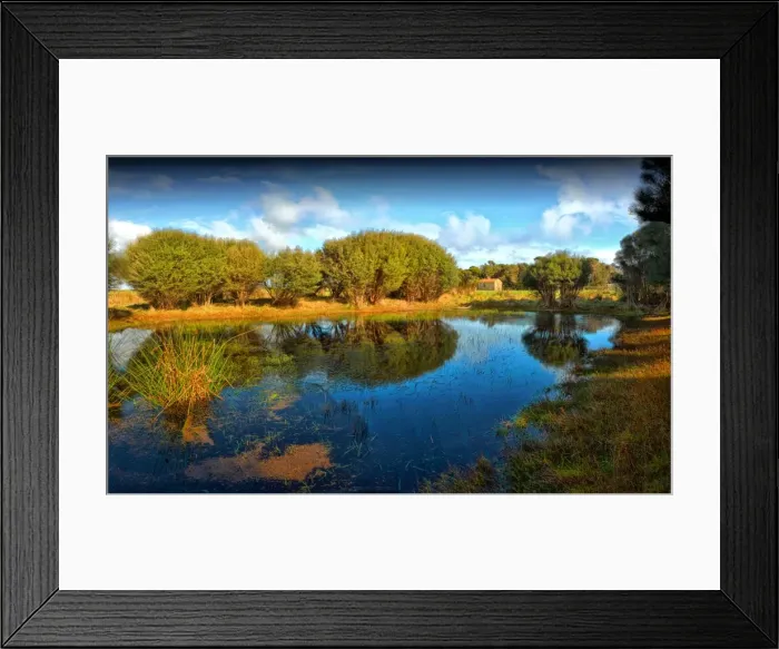 Framed Print : A lagoon with reflections, King Island, Bass Strait, Tasmania Framed Print : A lagoon with reflections, King Island, Bass Strait, Tasmania