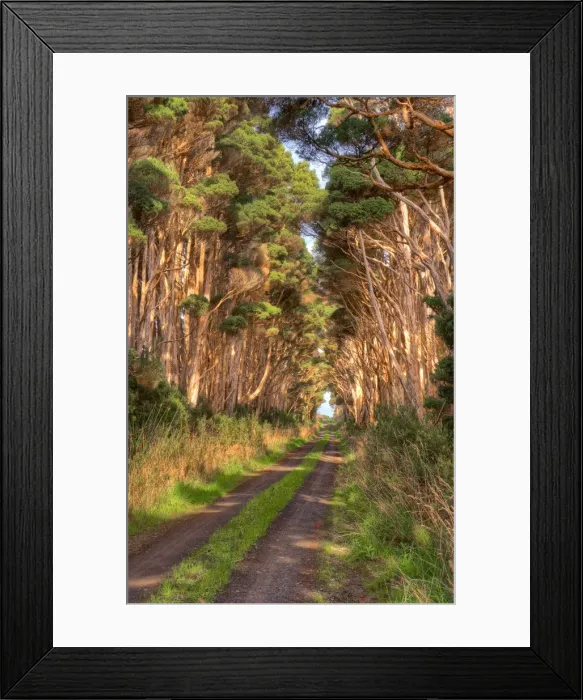 Framed Print : Rural road, King Island, Bass Strait, Tasmania Framed Print : Rural road, King Island, Bass Strait, Tasmania