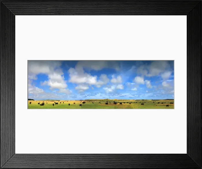 Framed Print : Rich Pastureland and grazing cattle, King Island, Bass Strait, Tasmania Framed Print : Rich Pastureland and grazing cattle, King Island, Bass Strait, Tasmania