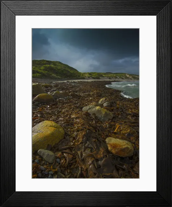 Framed Print : Kelp, British Admiral beach, King Island, Bass Strait, Tasmania Framed Print : Kelp, British Admiral beach, King Island, Bass Strait, Tasmania
