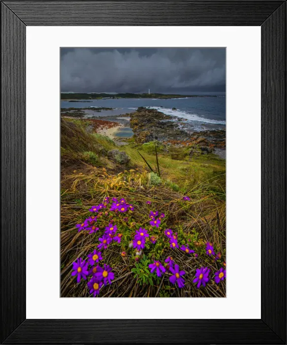 Framed Print : Currie harbour view, King Island, Bass Strait, Tasmania Framed Print : Currie harbour view, King Island, Bass Strait, Tasmania