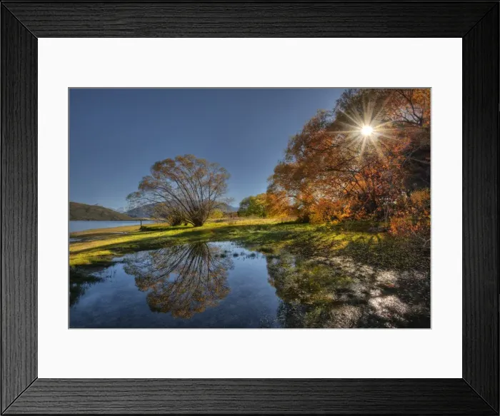Framed Print : Sunstar at Glendhu Bay, New Zealand, south island Framed Print : Sunstar at Glendhu Bay, New Zealand, south island