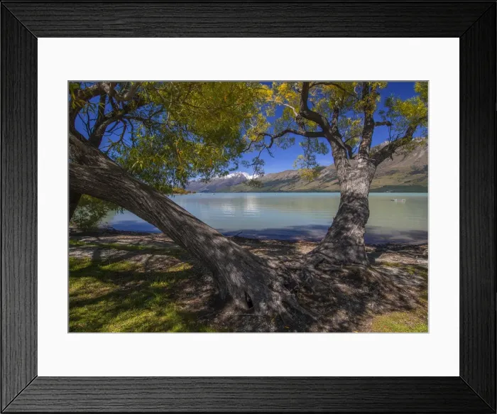 Framed Print : Glenorchy, Lake Wakatipu, South Island New Zealand