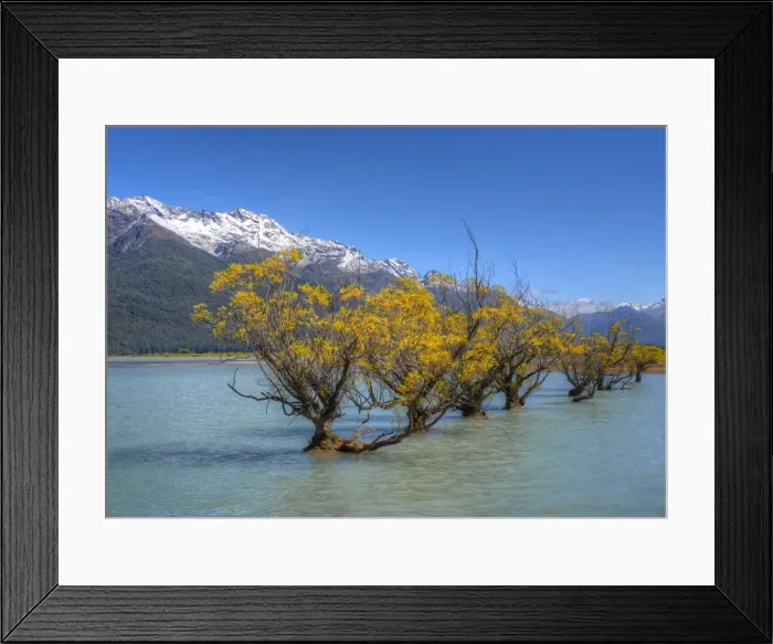 Framed Print : Glenorchy, Lake Wakatipu, South Island New Zealand Framed Print : Glenorchy, Lake Wakatipu, South Island New Zealand