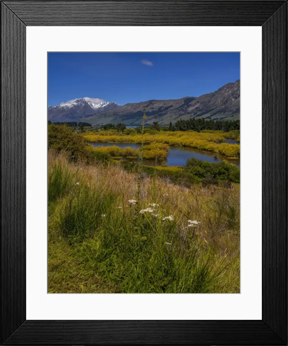 Framed Print : Glenorchy, Wetlands, South Island New Zealand Framed Print : Glenorchy, Wetlands, South Island New Zealand