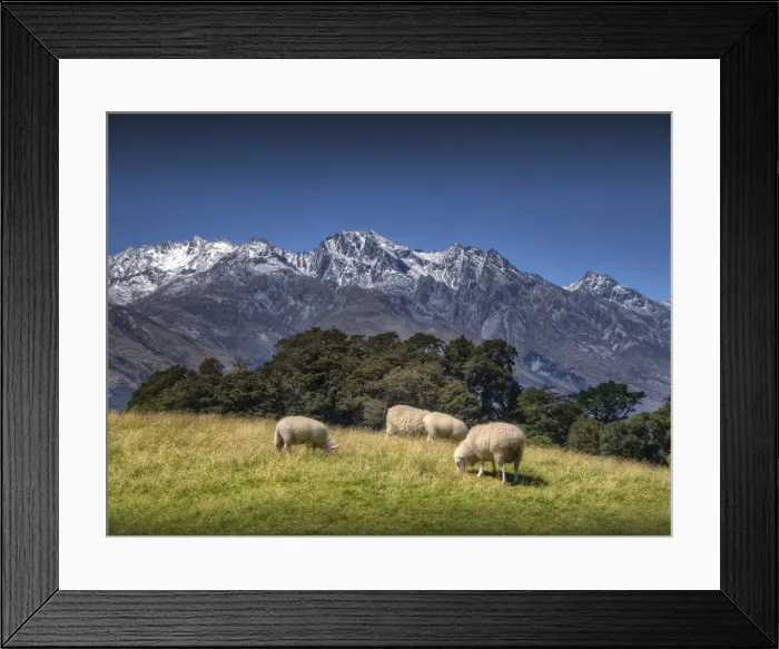 Framed Print : Glenorchy, South Island New Zealand Framed Print : Glenorchy, South Island New Zealand