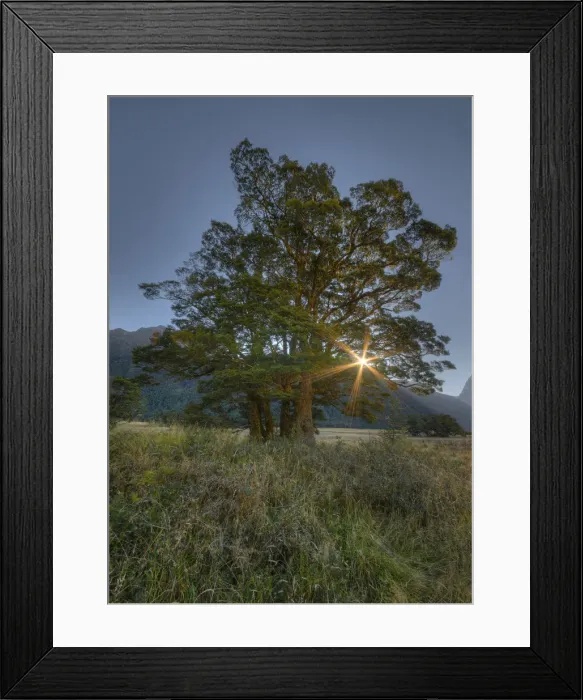 Framed Print : Eglinton Valley, south island, New Zealand Framed Print : Eglinton Valley, south island, New Zealand