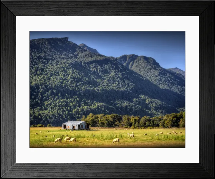 Framed Print : Eglinton Valley, south island, New Zealand Framed Print : Eglinton Valley, south island, New Zealand