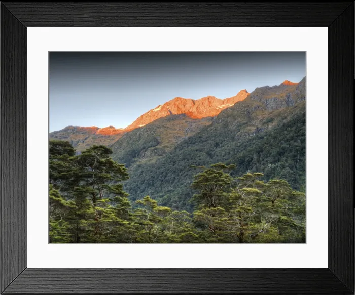 Framed Print : Dusk in the Clinton valley, south island, New Zealand