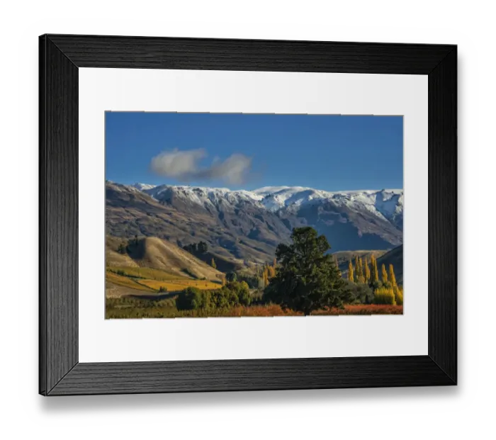 Framed Print : Autumn in Cromwell, south island New Zealand