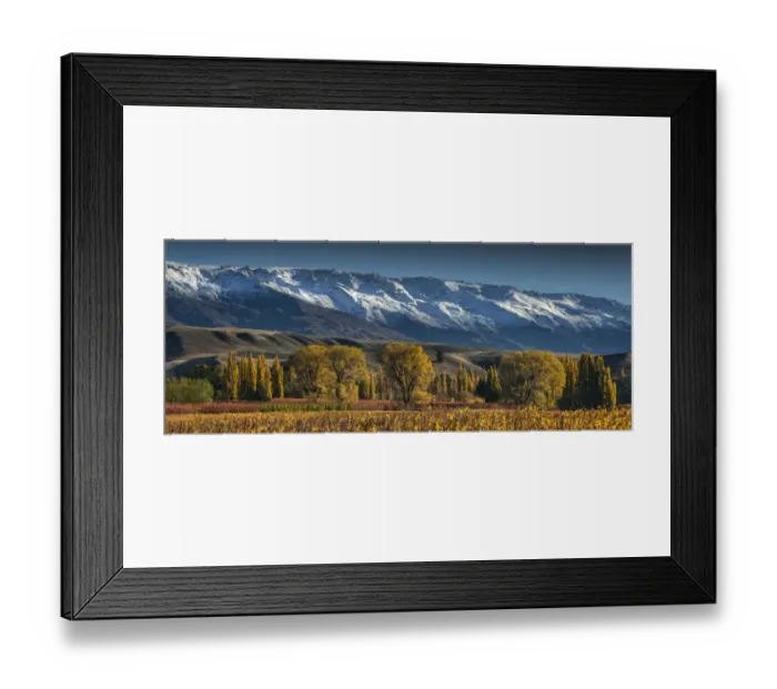 Framed Print : Autumn in Cromwell, south island New Zealand