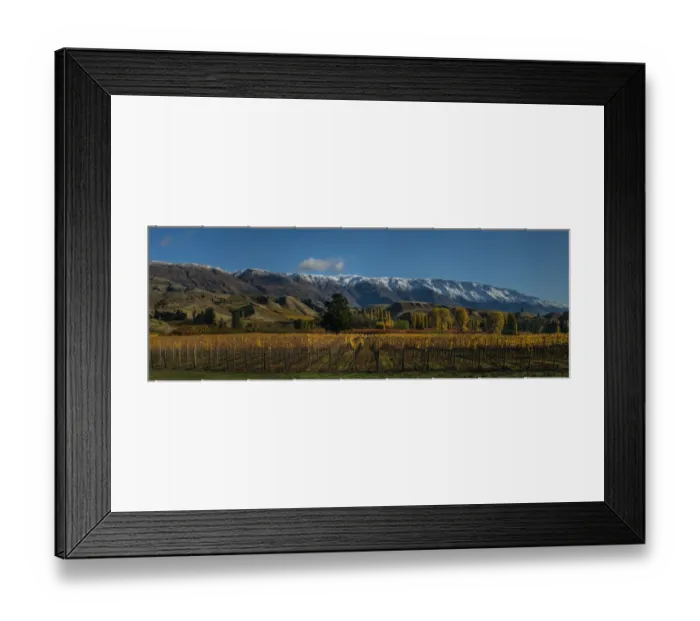 Framed Print : Autumn in Cromwell, south island New Zealand