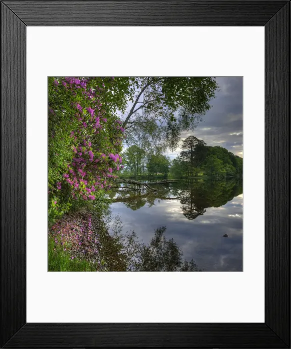Framed Print : Loch Lomond, The Trossachs, Highlands of Scotland Framed Print : Loch Lomond, The Trossachs, Highlands of Scotland