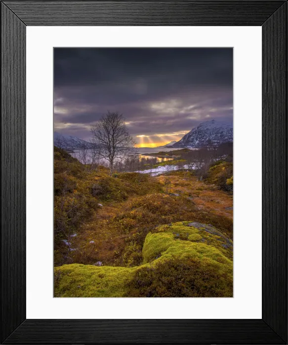 Framed Print : Lofoten Peninsular, winter wonderland, Arctic circle, Norway