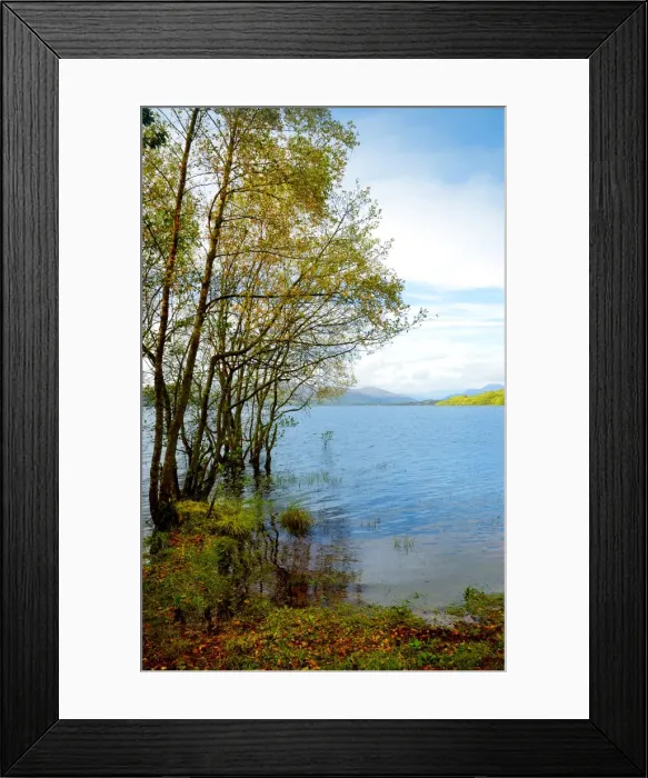 Framed Print : Loch Lomond, The Trossachs, Highlands of Scotland Framed Print : Loch Lomond, The Trossachs, Highlands of Scotland