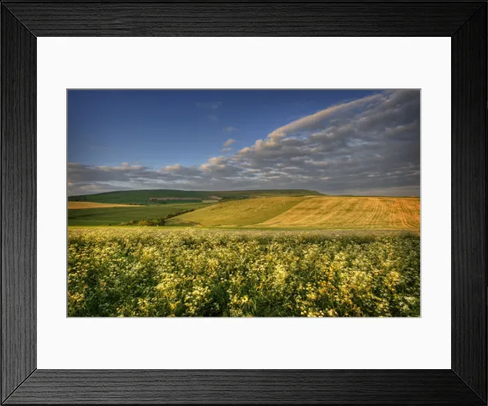 Framed Print : Countryside, Dorset, England