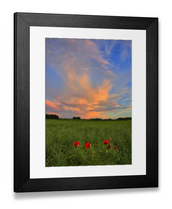 Framed Print : Countryside, Dorset, England Framed Print : Countryside, Dorset, England