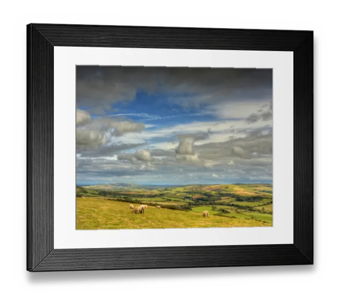 Framed Print : Countryside, Dorset, England Framed Print : Countryside, Dorset, England