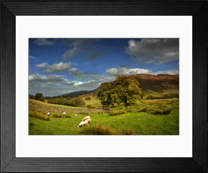 Framed Print : A rural scene near Dockray, Lakes District, England