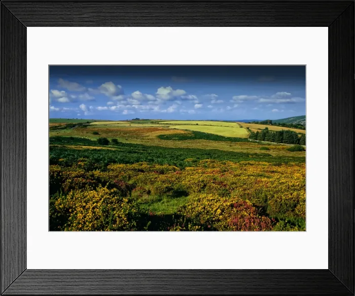 Framed Print : The Devon moors, England Framed Print : The Devon moors, England