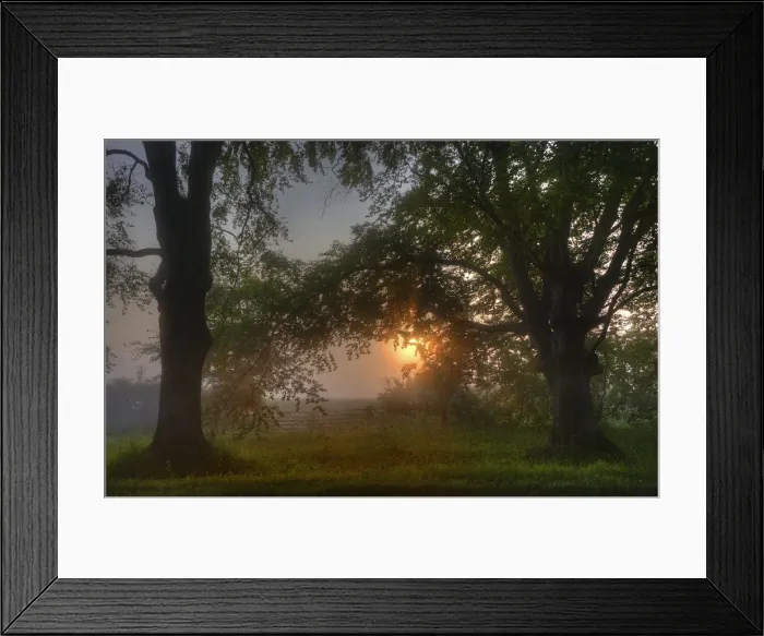Framed Print : Misty dawn at Bradbury rings, Dorset, England